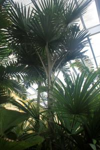 IMG_3759.JPG